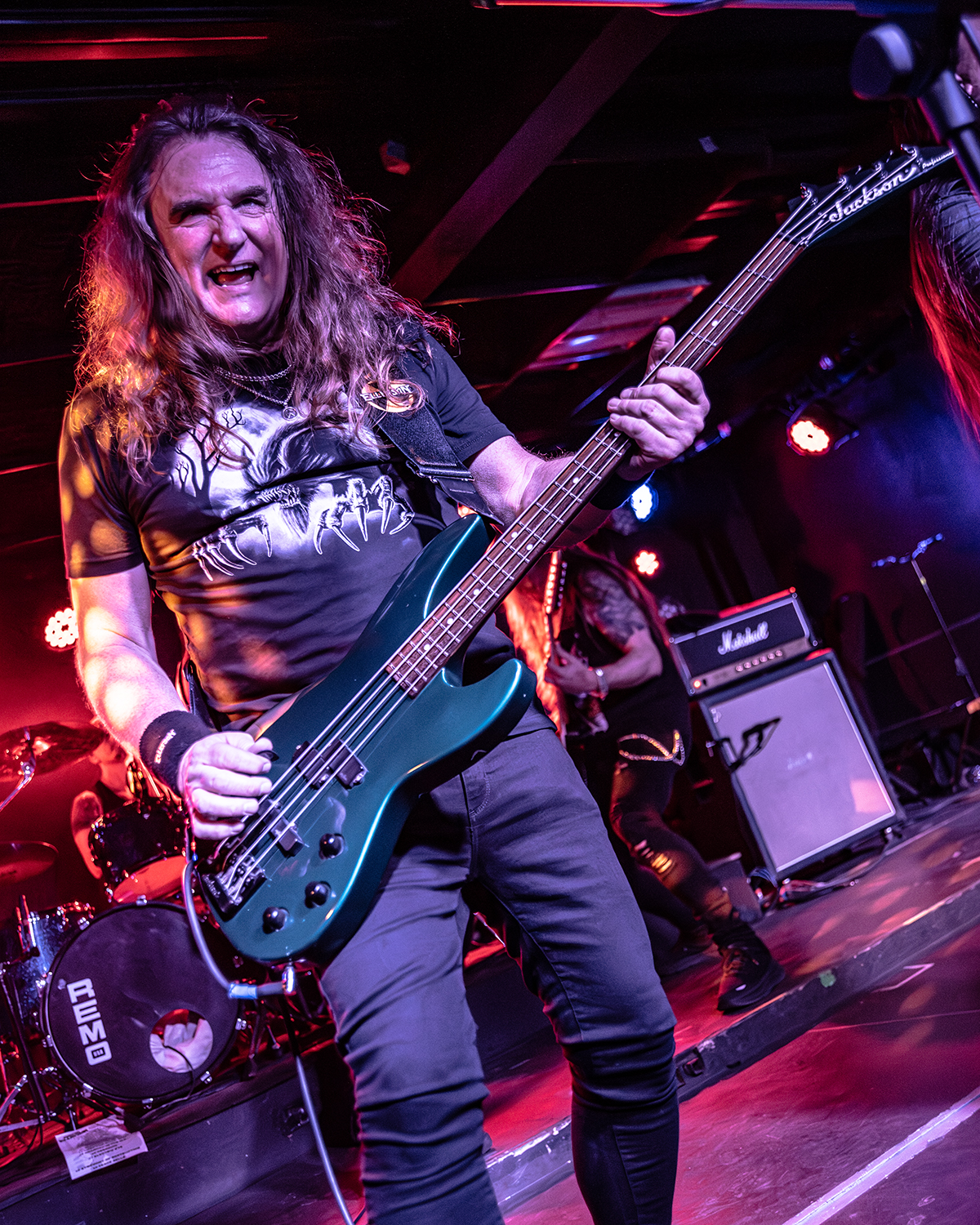 David Ellefson - Basstory